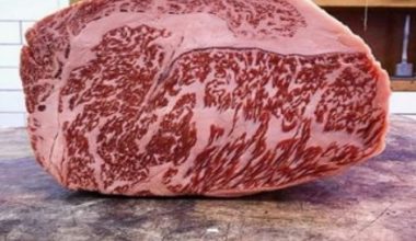 Rib Eye Wagyu MB 7
